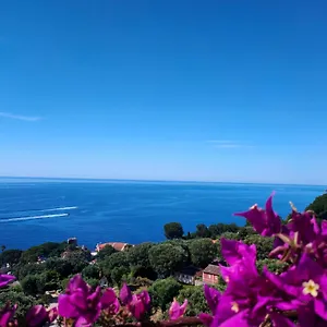  Appartement Azur Frankrijk